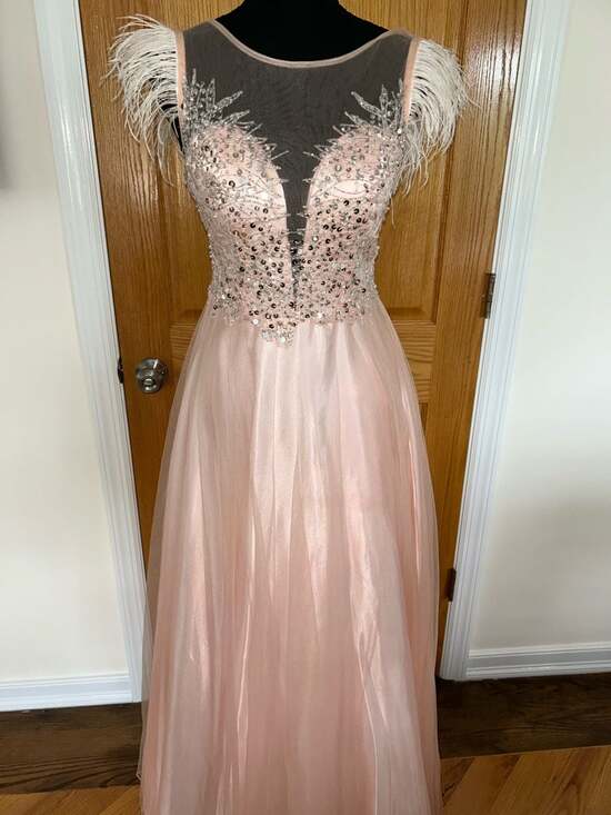 BESTY AND ADAM Dresses & Skirts - Blush Pink Tulle Formal Prom Dress with Feather Sleeves and Sequined Bodice